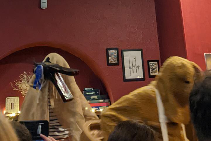 The Bear and Horse beside the microphone during Trad Folk Night at the Mariner