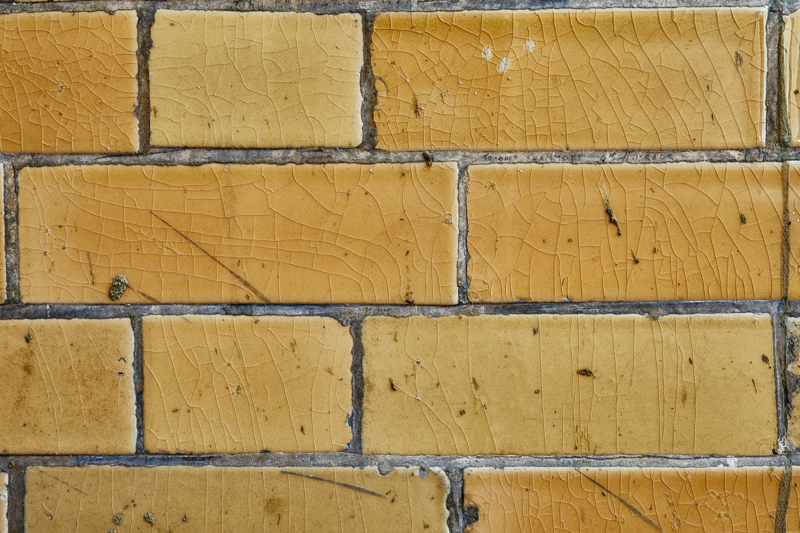 Glazed yellow wall tiles with faint scratched pencil marks